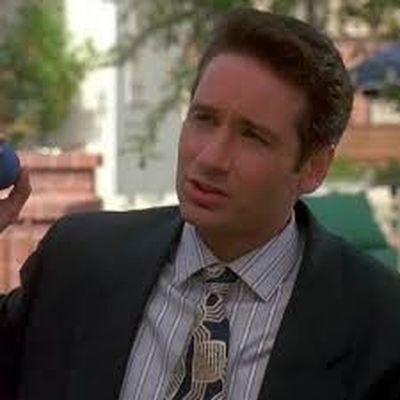 David Duchovny as Brad: Then