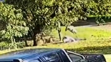 Vision has emerged of a man being viciously attacked by a kangaroo in Ballina, northern New South Wales.