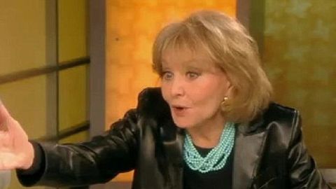 'Do you like it when he is rough?' Barbara Walters, 82, shocks The View with S and M talk