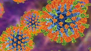 Illustration of measles virus (Getty)