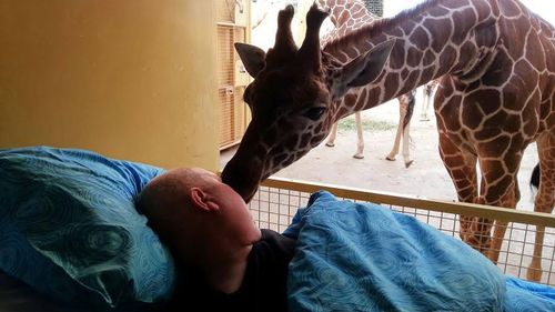 Giraffe 'kisses' dying man goodbye