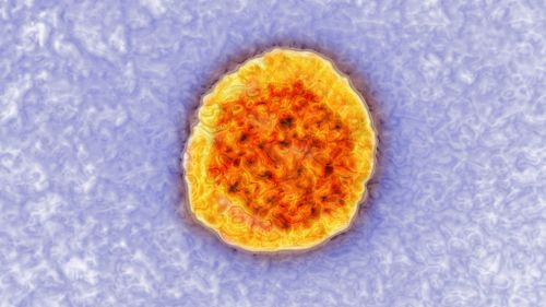 Hepatitis C virus. (AFP)