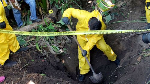 In this Jan. 15, 2018 photo, released by the General Prosecutor of Nayarit, a man digs up a clandestine grave in Xalisco, Nayarit state, Mexico. Sniffer dogs led authorities to the grisly discovery of three clandestine graves containing at least 33 bodies in a sugarcane field. Some of the bodies may have been hacked up before being tossed into the pits, and authorities believe they were probably involved in the drug trade.