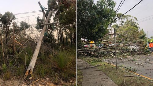 The storm felled powerlines and trees across Sydney.