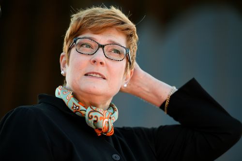 Defence Minister Marise Payne said the new laws will permit the ADF to complement state and territory authorities on land, at sea and in the air. Picture: AAP.