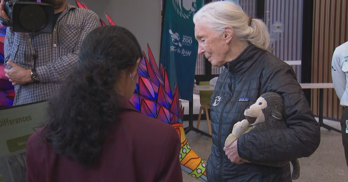 ‘Without hope we’re doomed’: Legendary conservationist Jane﻿ Goodall graces Taronga Zoo