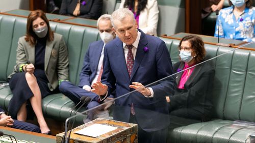 Tony Burke in the House of Representatives