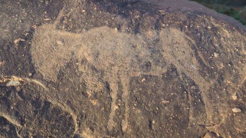 The animals carved into the dyke are all associated with the rain-making mythology. Picture: University of the Free State
