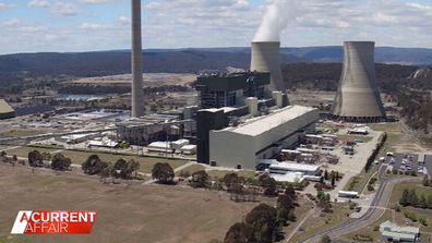 William Shackel is committed to seeing nuclear energy thrive in Australia.