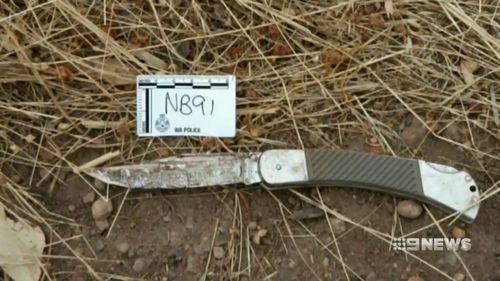 Dr Richard Sheperd said some of the wounds described are much longer than the length of the blade of the knife seized as evidence.