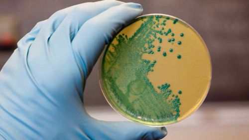 Unlike other bacteria, listeria thrives in cold conditions like inside a fridge.