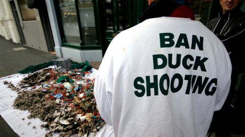 Victoria's controversial duck hunting season given green light