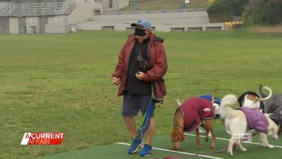 Sydney park-goers warn against crossing angry dog trainer