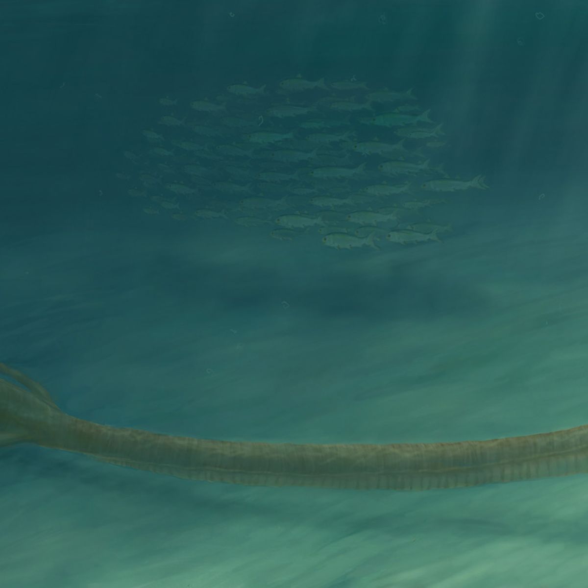 Scientists Unravel The Mystery Of A Real Life Sea Monster