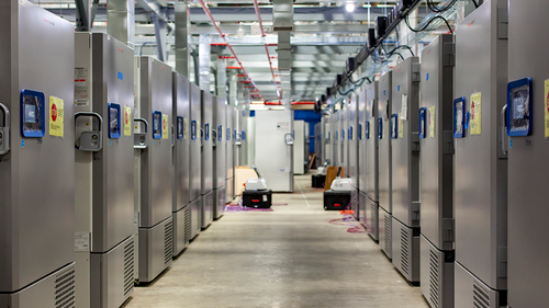 This photo provided by Pfizer shows part of a 'freezer farm' - a football field-sized facility for storing finished COVID-19 vaccines, under construction in Kalamazoo, Michigan. Pfizer's experimental vaccine requires ultracold storage, at about -70°C.  