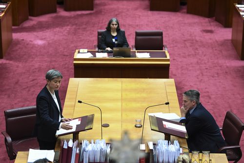 Labor Senate leader Penny Wong and Liberal Senator Mathias Cormann  ahead of this morning's vote.