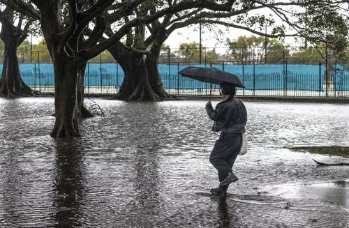 A distracted pedestrian walks into flooded Federation Place in Moore Park on Thursday 11th September 2025.