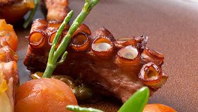 Pure South's octopus 'a la plancha' with tomato, caper and dill sauce