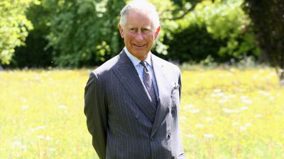 Prince Charles, the Prince of Wales