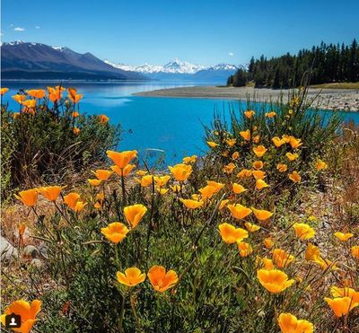 Lake Pukaki, New Zealand