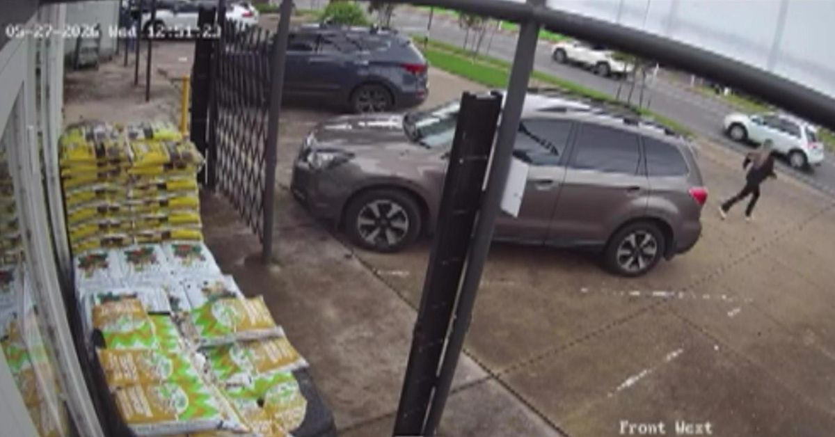 Nine-months' pregnant nursery owner chases down plant thief