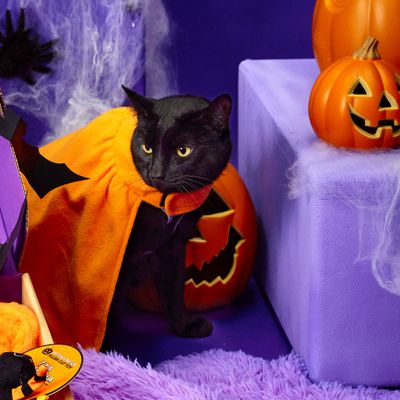 Halloween Pumpkin Cloak