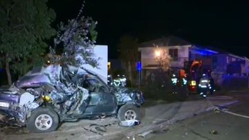 Truck driver does runner after crashing into home