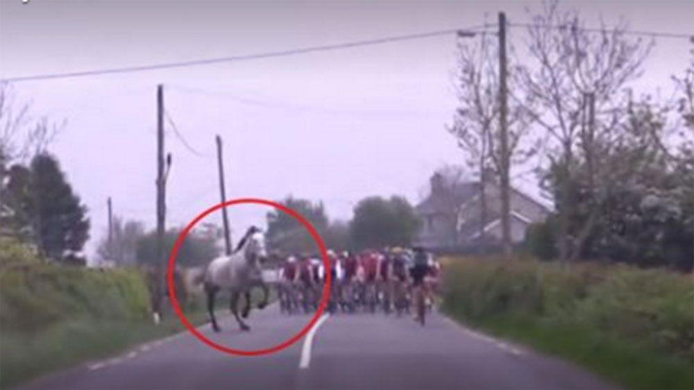 Horse jumps a fence and nearly collides with cyclists