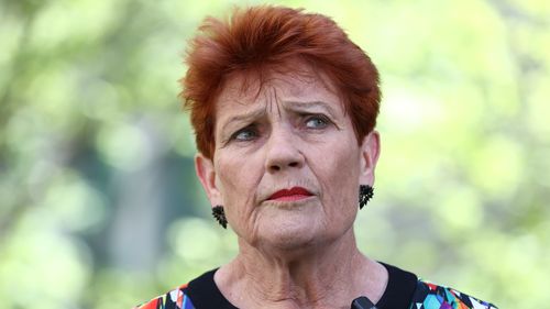 A senadora de uma nação, Pauline Hanson, fala à mídia depois de ser expulsa do Senado por 7 dias depois de usar uma burca na Câmara em 25 de novembro de 2025. Foto: Dominic Lorrimer