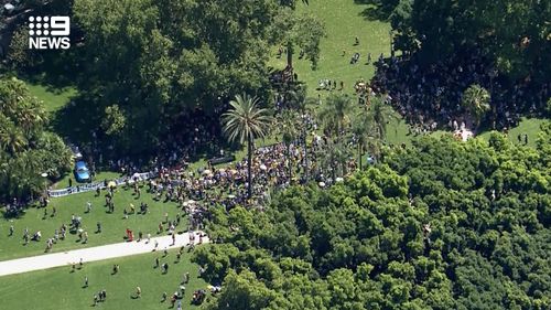 Des centaines de personnes se trouvaient au Domaine à Sydney aujourd'hui.