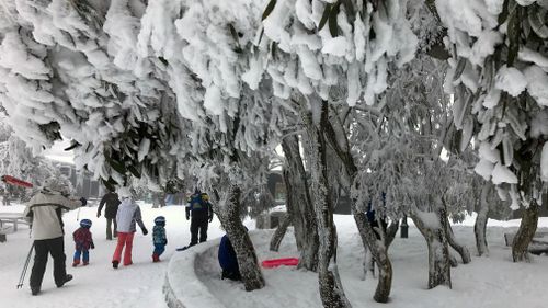 Heavy snowfall at the Mt Buller alpine resort in the Victorian Alps. (AAP)