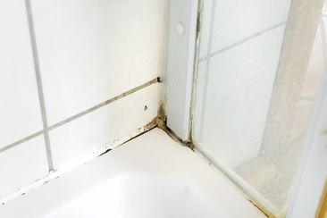 Mould in a bathroom at the tiles and silicone