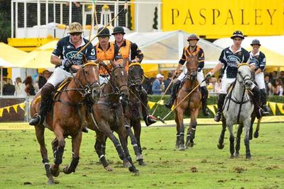 Polo players...on horses...doing their thing. *Swoon*