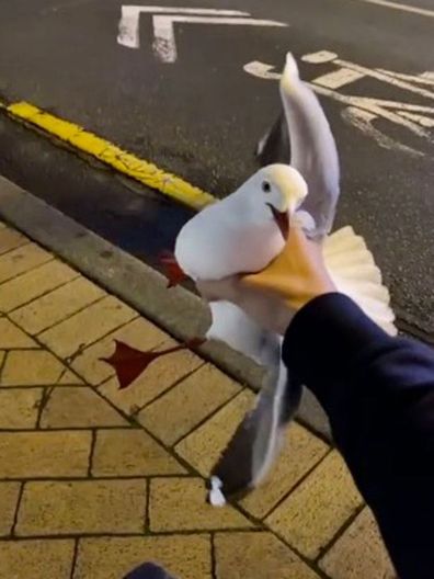 Man sparks outrage as he catches a flying thief: 'I'm quite scared of birds'