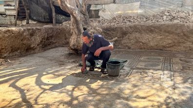 Byzantine mosaic uncovered in Palestinian olive orchard