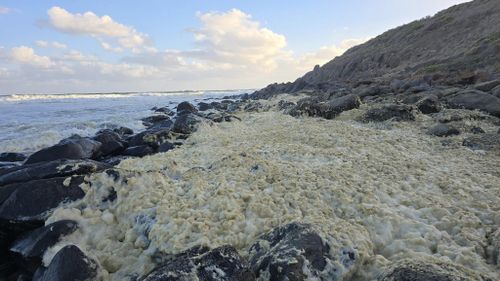 A multi-agency investigation is underway after masses of yellow foam washed up on a popular South Australian beach, leaving surfers feeling sick and infected. ﻿