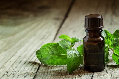 <strong>Peppermint oil</strong>