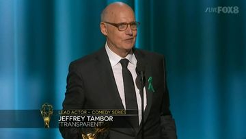 The 67th Annual Emmy awards have wrapped up in Los Angeles, celebrating the year in television. &nbsp;<br><br>Jeffrey Tambor won the Lead Actor, Comedy Emmy for his touching portrayal of a transgender woman in <em>Transparent.</em><br><br><strong>Click through for the other winners.</strong>&nbsp;<br><br>