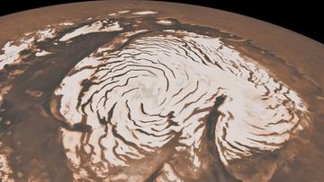 This image, combining data from two instruments aboard NASA&#x27;s Mars Global Surveyor, depicts an orbital view of the north polar region of Mars.