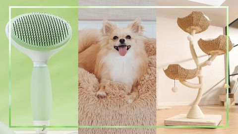 9PR: The best deals we've spotted on pet products