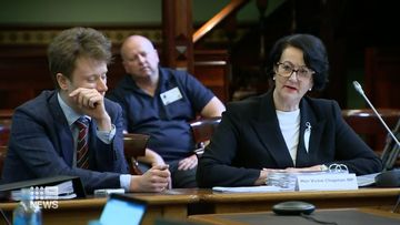 An investigation was launched into former SA Deputy Premier Vickie Chapman in November 2021 following claims she had committed ministerial misconduct. 