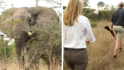 Catriona Rowntree was chased by an elephant on a walking safari. 