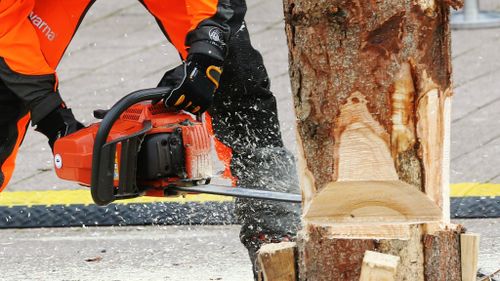 Learner driver who stitched his own chainsaw wound and drank gin for the pain before driving to hospital loses appeal