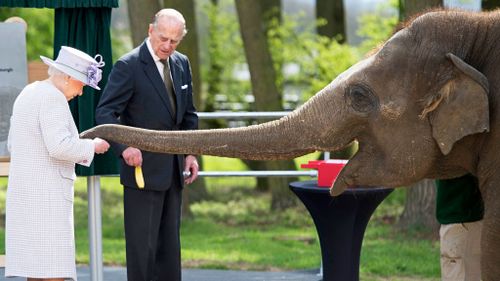 Queen Elizabeth II feeds an elephant named 'Donna' after opening the new Centre for Elephant Care at ZSL Whipsnade Zoo in Whipsnade, north of London, on April 11, 2017. (AFP)