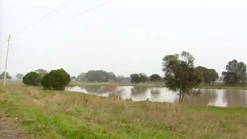 The dam in Winchelsea where Robert Farquharson's car crashed. (9NEWS)