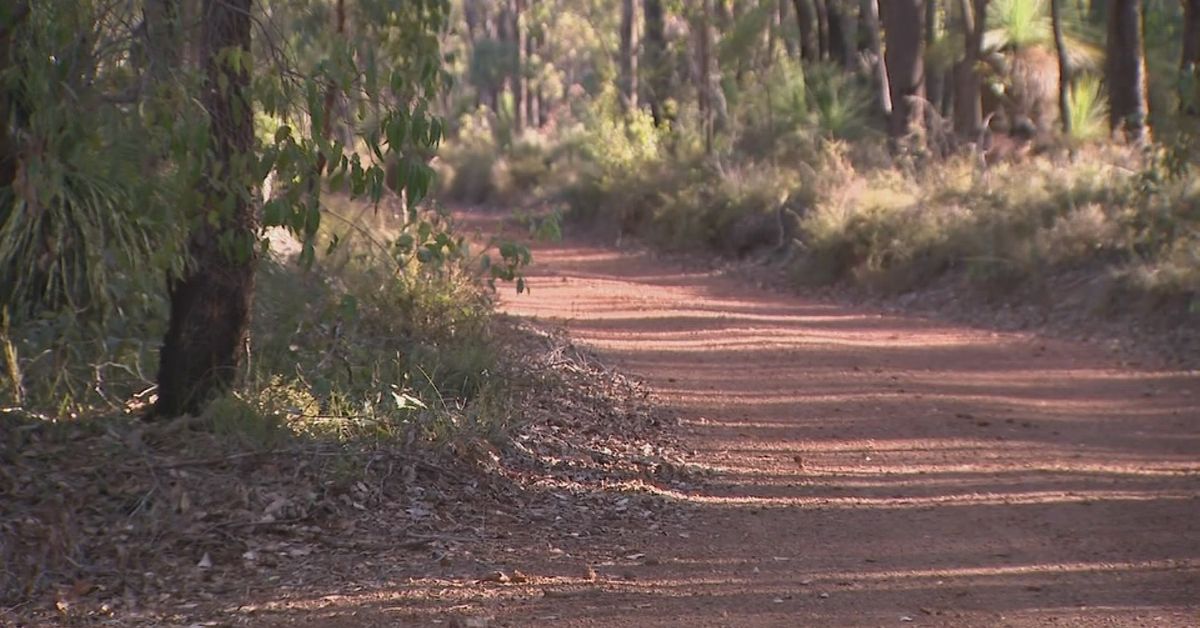 Family grieving after 8-year-old dies falling from car in Perth Hills