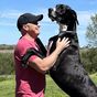 World's tallest male dog dies shortly after securing record