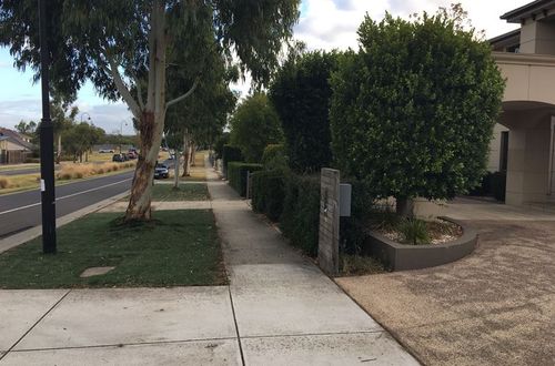 Neighbours heard screams after the dog attack at the Berwick, Melbourne, home about 8pm Sunday, March 4. (9NEWS)