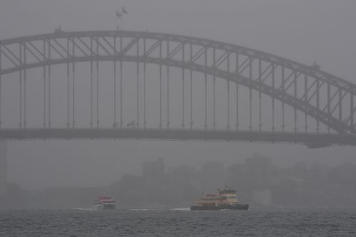 Sydney city recorded the most rainfall of 16.6 millimetres up to 9am overnight. (AAP)