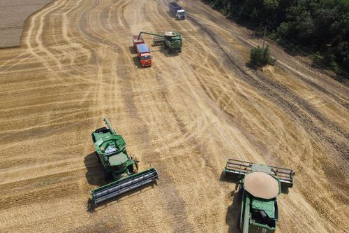 Russian wheat farmers will have their exports cut, because of sanctions.